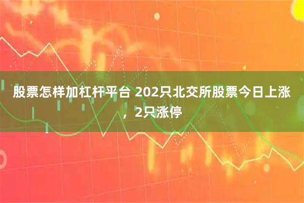 股票怎样加杠杆平台 202只北交所股票今日上涨，2只涨停