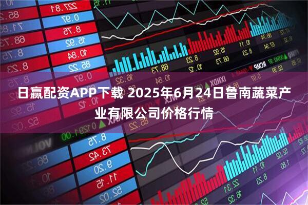 日赢配资APP下载 2025年6月24日鲁南蔬菜产业有限公司价格行情